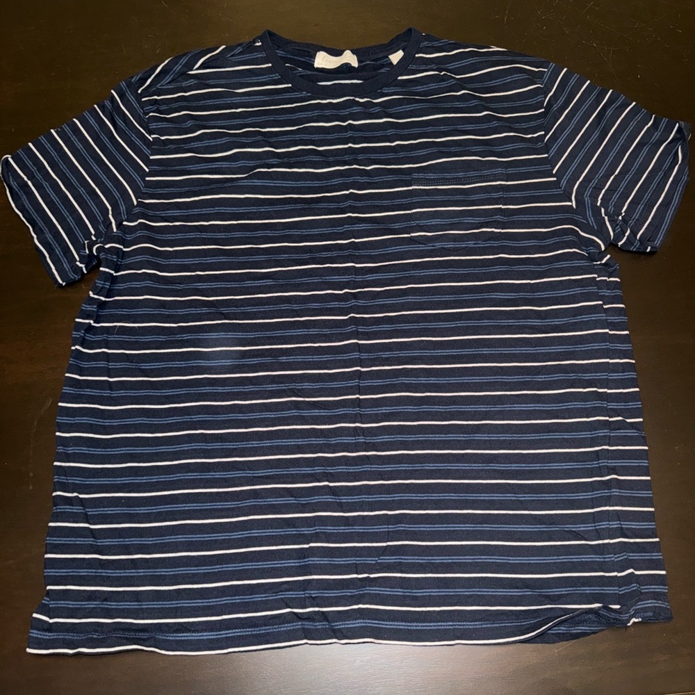 Cotton & co men’s blue stripped tshirt